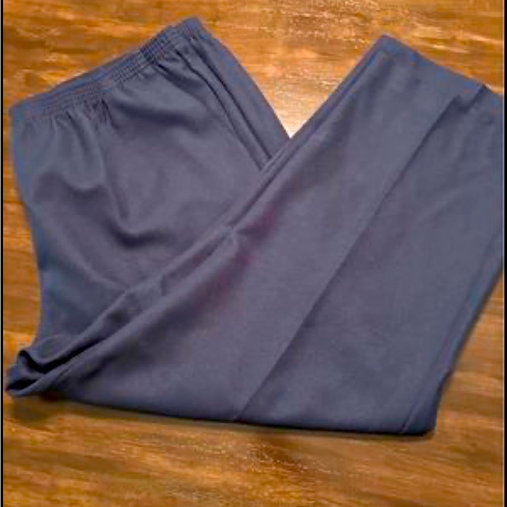 Alfreda Dunner Womens Navy Blue Polyester Pants Sz 24W